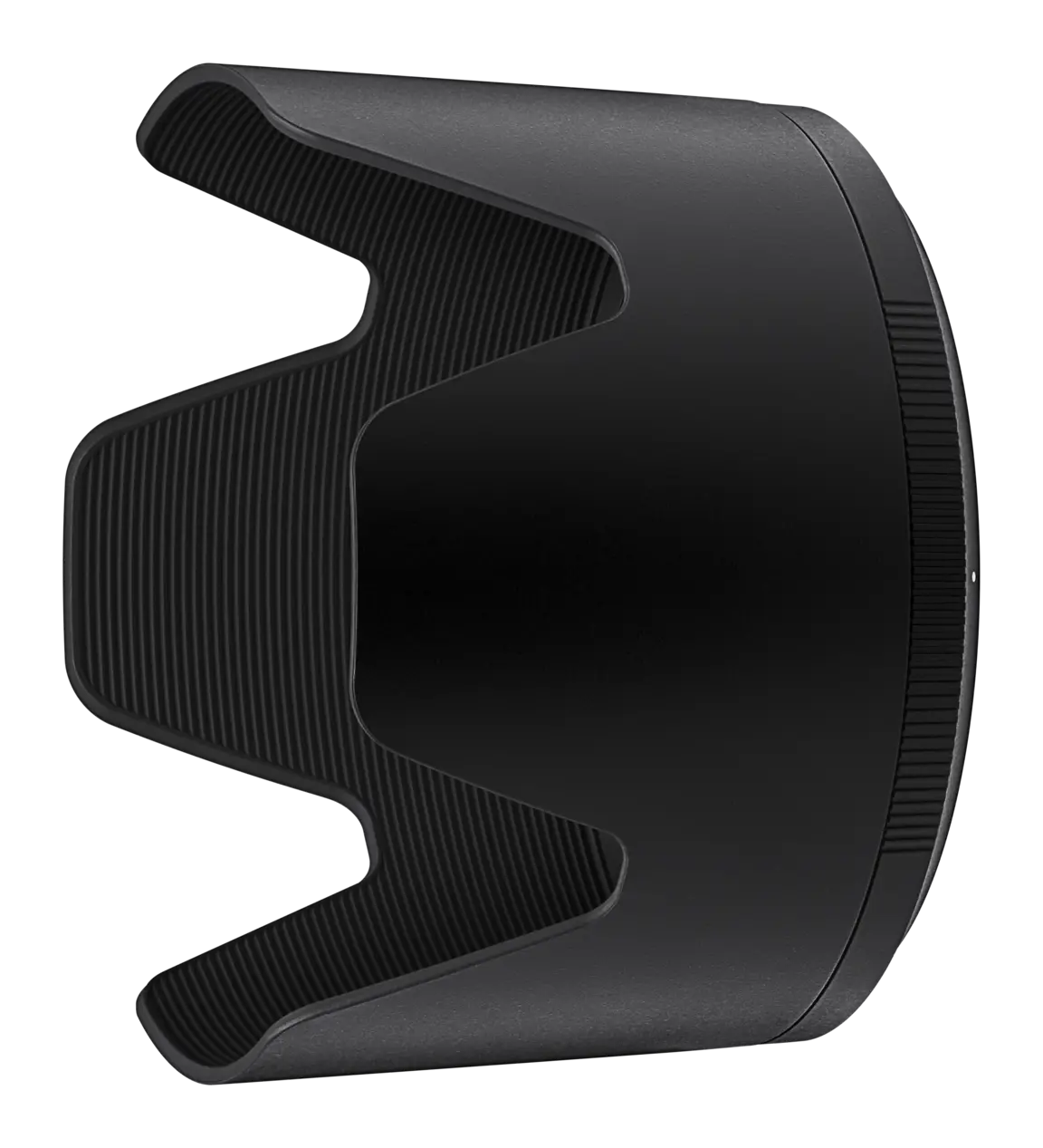 AF-S Nikkor 300mm f/4D IF-ED