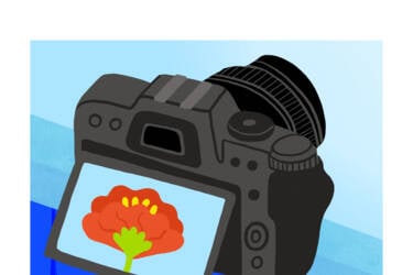 Nikon magazine's Nikon Quickstart cheat sheets 