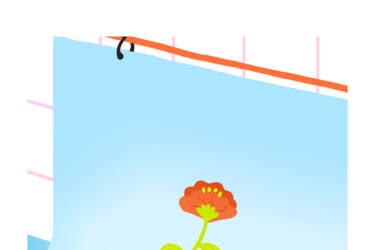 Nikon magazine's Nikon Quickstart cheat sheets 