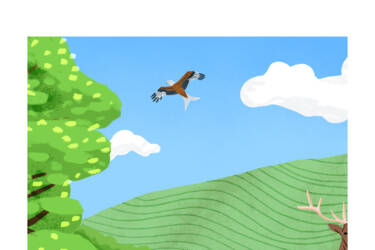 Nikon magazine's Nikon Quickstart cheat sheets 