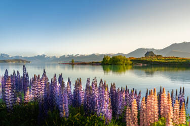 Nikon magazine - Photographing in direct sunlight