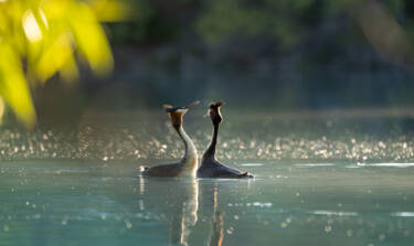 Nikon magazine - Photographing in direct sunlight