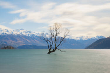 Nikon magazine - Photographing in direct sunlight