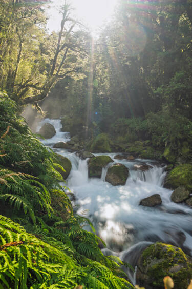 Nikon magazine - Photographing in direct sunlight