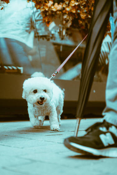 Nikon magazine presents The Set Up
